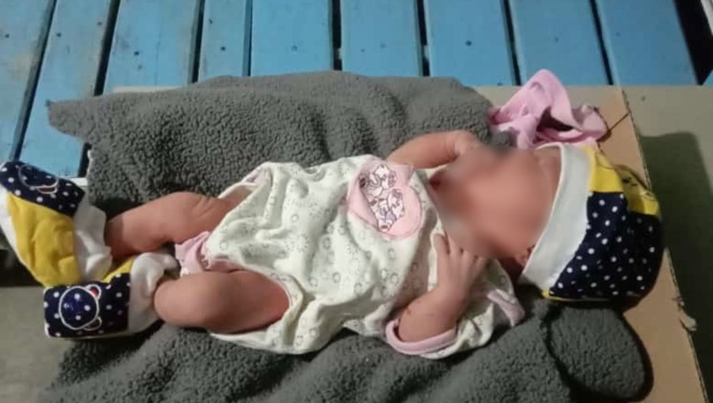 Penemuan Bayi Perempuan dalam Kardus Gegerkan Warga