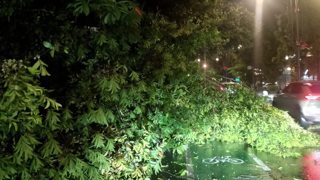 Angin Kencang Robohkan Pohon di Dago Bandung
