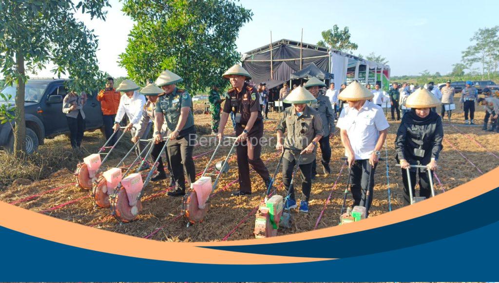 Kodim 0616/Indramayu Dukung Penanaman Jagung Serentak Kuartal III 2025 untuk Wujudkan Ketahanan Pangan Nasional Tanam jagung nasional