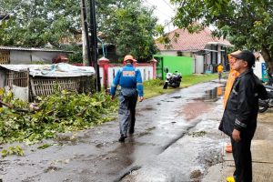 Situasi lokasi pohon tumbang wilayah paoman.