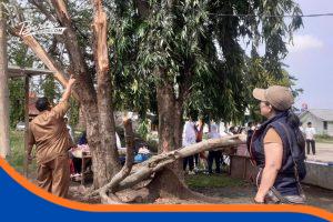 Ketua Paguyuban Pedagang SC