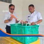 Rajungan Ujunggebang Mendunia, Dari Muara Kali Sewo Menuju Pasar Ekspor