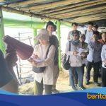 Tim Kementerian PU dan JICA meninjau kawasan pesisir Kecamatan Sukra dalam survei awal pembangunan giant sea wall di Indramayu.