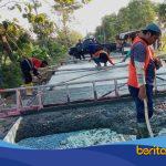 Pekerjaan jalan Sindang Pecuk mendukung visi Indramayu Reang